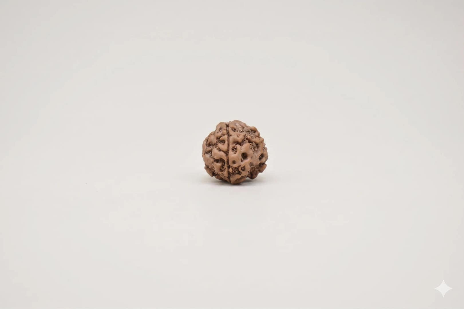 Original 4 Mukhi Rudraksha – Natural Bead | Certified & Energized for Knowledge & Creativity - Image 5