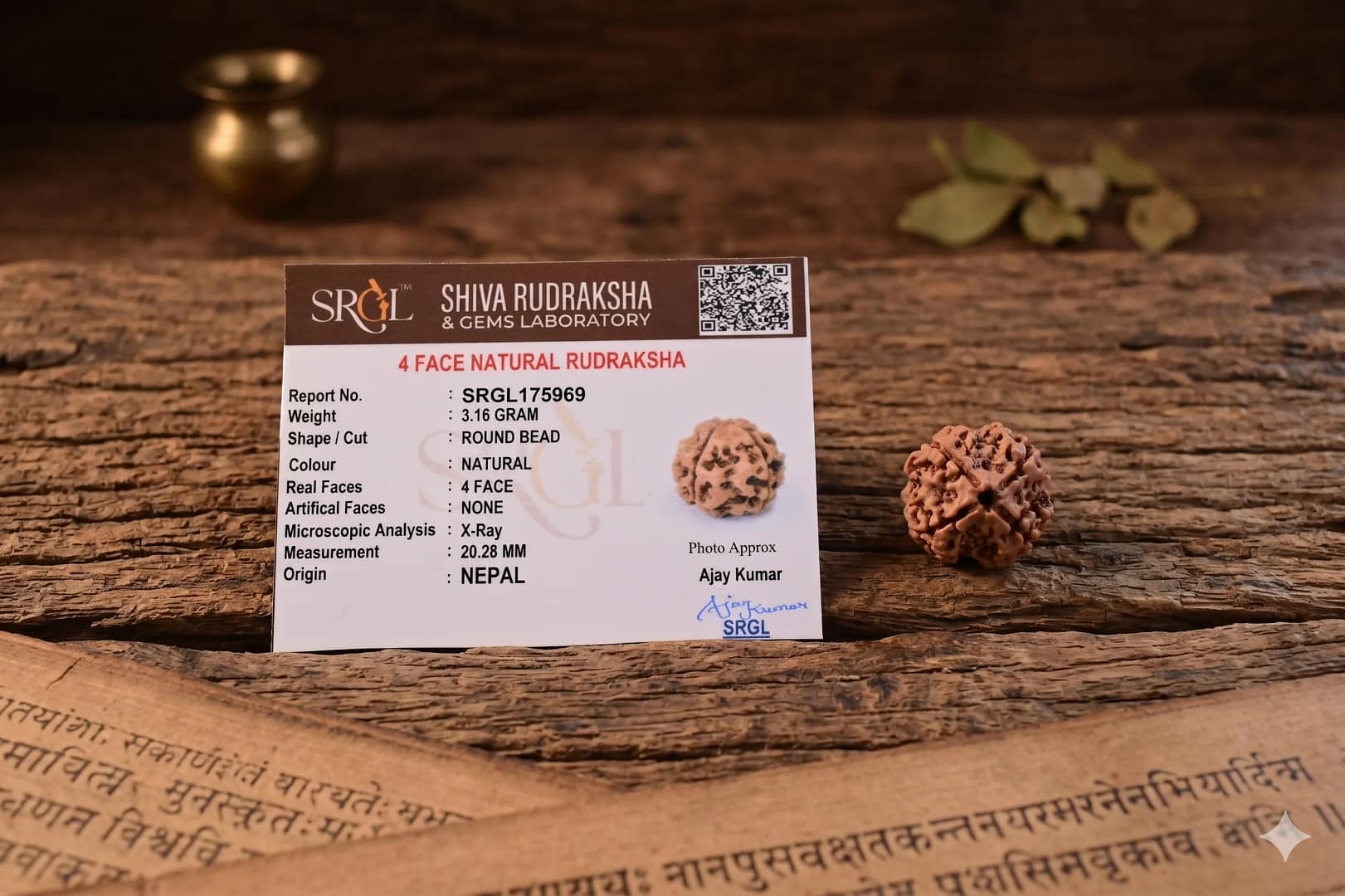 Original 4 Mukhi Rudraksha – Natural Bead | Certified & Energized for Knowledge & Creativity