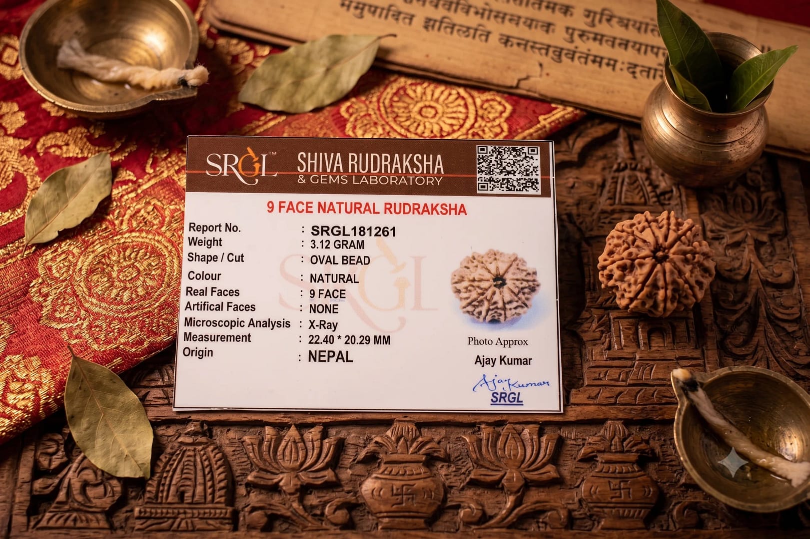 Original 9 Mukhi Rudraksha – Natural Bead | Certified & Energized for Power, Protection & Shakti
