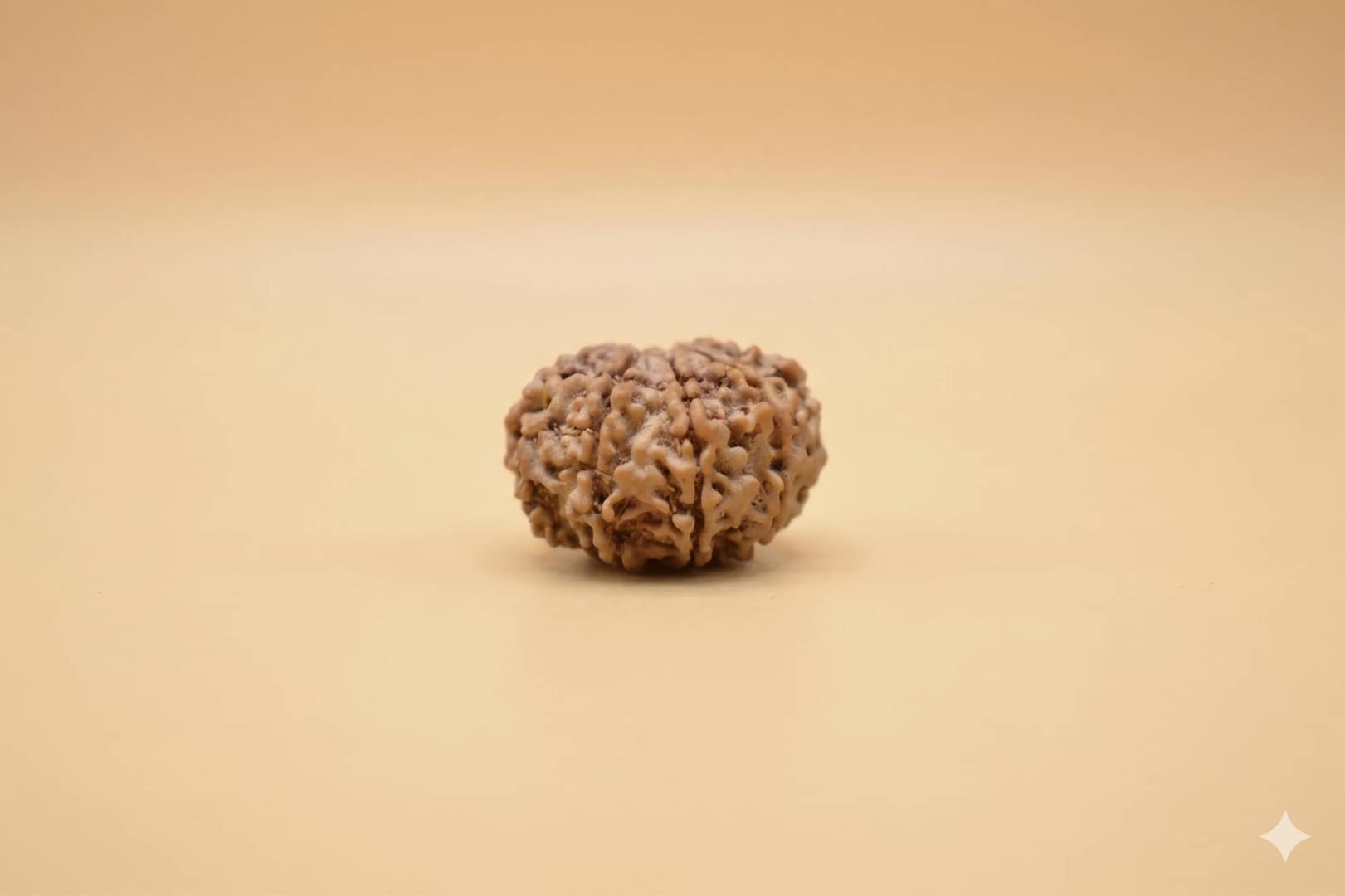 Original 7 Mukhi Rudraksha – Natural Bead | Certified & Energized for Wealth, Career & Prosperity - Image 4