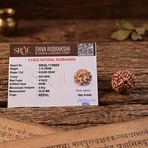 Original 4 Mukhi Rudraksha – Natural Bead | Certified & Energized for Knowledge & Creativity