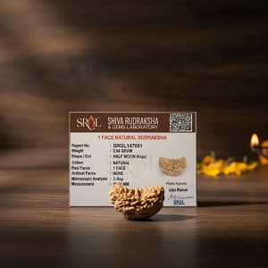 Original 1 Mukhi Rudraksha – Rare Natural Bead | Certified & Energized for Moksha & Divine Blessings