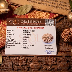 Original 9 Mukhi Rudraksha – Natural Bead | Certified & Energized for Power, Protection & Shakti