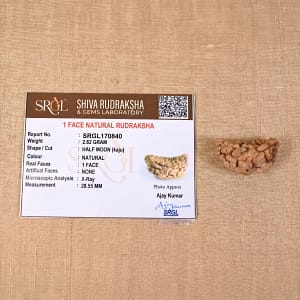 Original 1 Mukhi Rudraksha – Rare Natural Bead | Certified & Energized for Moksha & Divine Blessings
