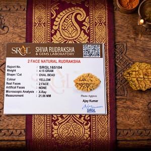Original 2 Mukhi Rudraksha – Natural Bead | Certified & Energized for Relationships & Harmony