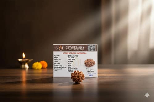 9mukhi_Image_hh679khh679khh67