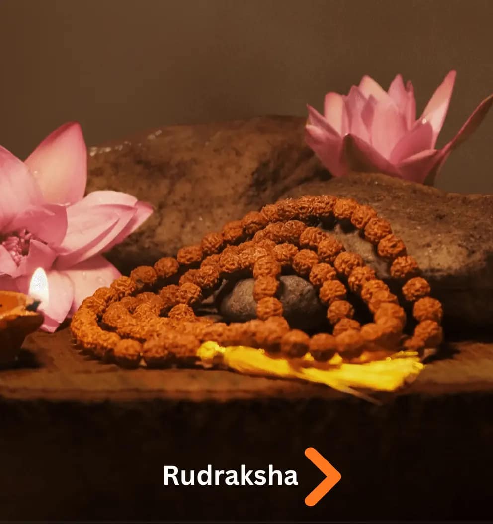 Babo Raksha Home : Baba Rudraksha - Baba Rudraksha